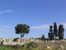 IMG_3713.JPG