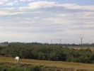 IMG_3742.JPG