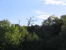 IMG_3746.JPG