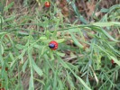 IMG_3844.JPG
