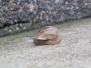 IMG_3851.JPG