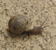 IMG_3881.JPG copie