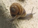 IMG_3882.JPG copie