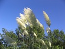 IMG_3970.JPG